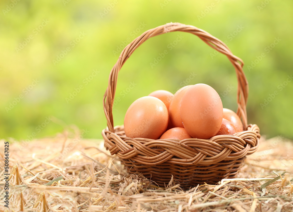 Many white duck or hen eggs together in group as background. Farm clean egg is good for health as high protein on dried rice straw as nature and organic eggs. Many white duck or hen eggs together in group as background. Farm clean egg is good for health as high protein on dried rice straw as nature and organic eggs.