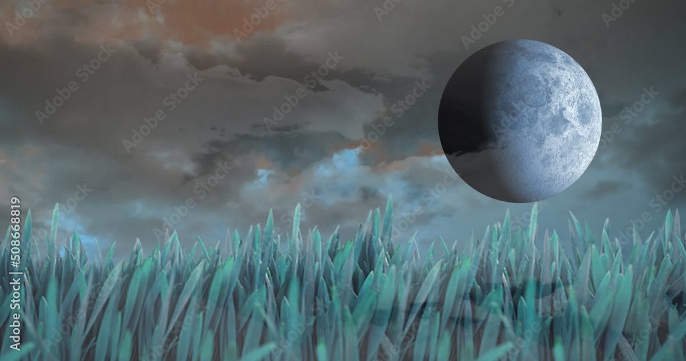 Naklejka premium View of beautiful landscape with grass, moon and clouds in the sky