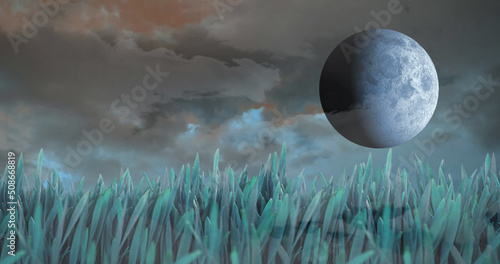 View of beautiful landscape with grass, moon and clouds in the sky
