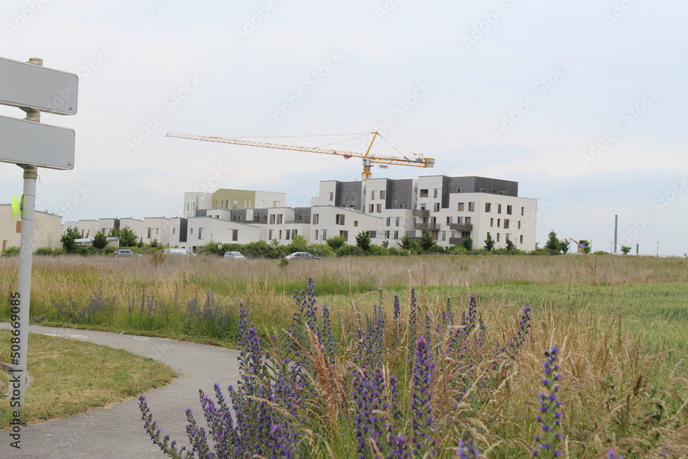 Obraz premium nature et animaux