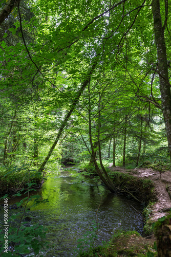 Rivière au fond des Gorges de Villiers au printemps