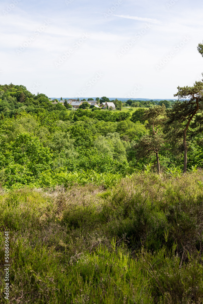 Bocage normand en lisière de la Forêt d'Andaine et des Gorges du Villiers