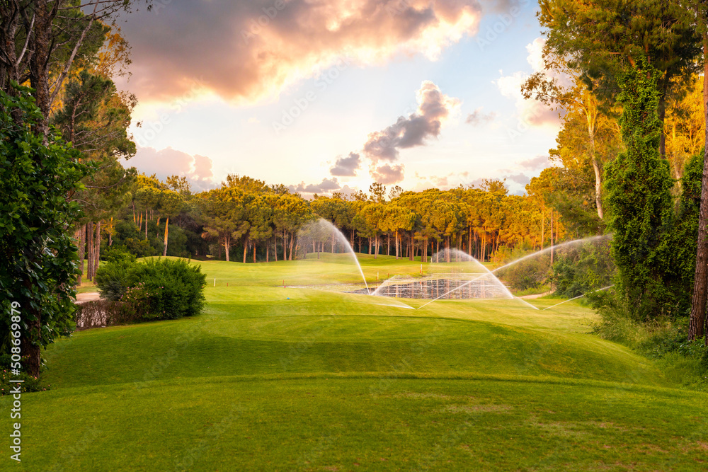 Watering grass in golf course at sunset with beautiful sky. Scenic panoramic view of golf fairway. Golf field with pines Watering grass in golf course at sunset with beautiful sky. Scenic panoramic view of golf fairway. Golf field with pines