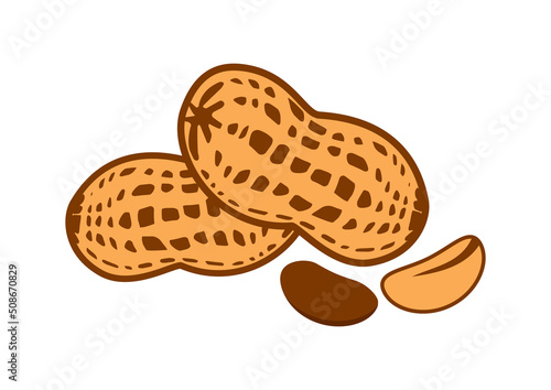Pile of peanuts icon vector. Peanut icon isolated on a white background. Roasted peanuts in shell design element