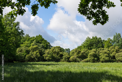 Paysage naturel du Marais du Grand Hazé à Briouze au printemps par une temps ensoleillé