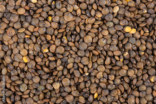 French lentils background. Dry puy lentil grains pile. Top view. photo