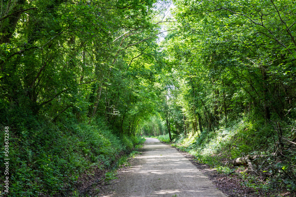 Voie verte de Briouze à Bagnoles-de-l’Orne au niveau du Marais du Grand Hazé Voie verte de Briouze à Bagnoles-de-l’Orne au niveau du Marais du Grand Hazé