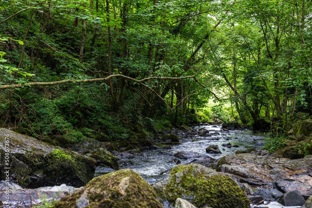 Obraz premium Rivière de la Cance à Mortain par une journée ensoleillée de printemps