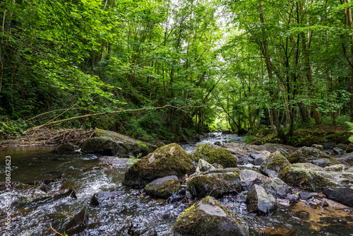 Rivière de la Cance à Mortain par une journée ensoleillée de printemps