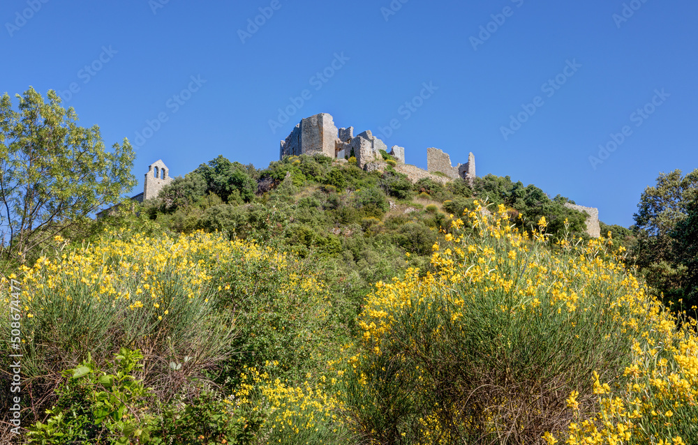 Vue sur les ruines du château d'Aumelas dans l'hérault en région Occitanie