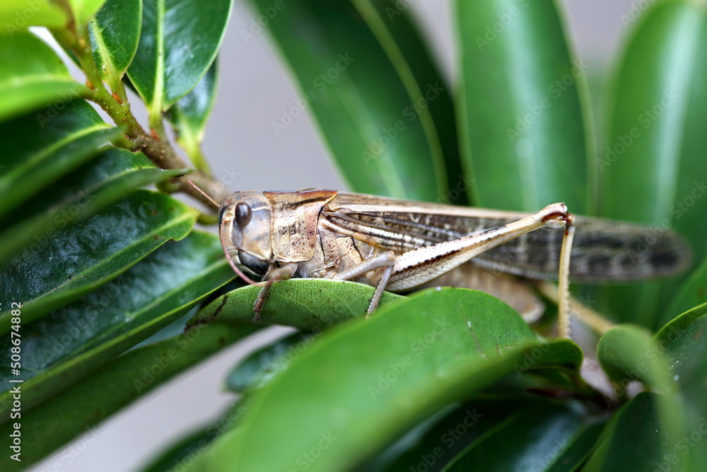 A l'ombre pour la pause