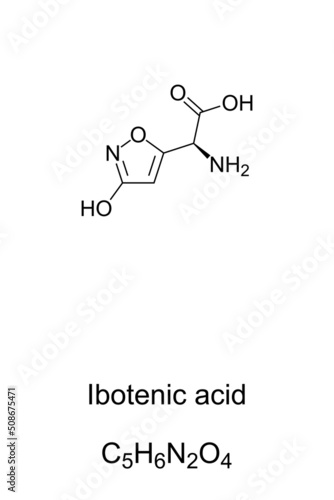 Ibotenic acid, fly agaric poison, chemical formula and structure. Referred to as ibotenate, a chemical compound and psychoactive drug, naturally occuring  in fly amanita mushrooms, Amanita muscaria.