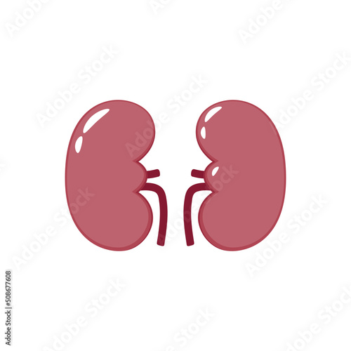 kidney cartoon vector. free space for text. wallpaper.