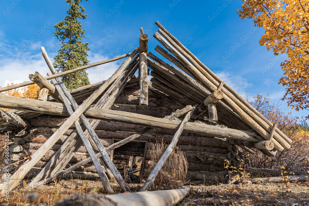 Abandoned log cabin that is collapsed and falling over in the woods, wilderness area of Canada in fall, autumn season. 