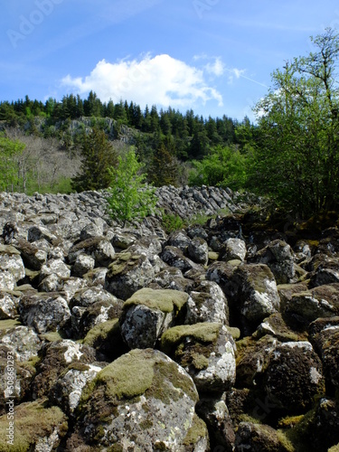 ROCHE DE LANDEYRAT