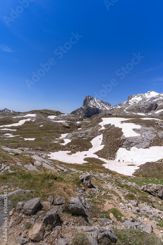 Last snow in Picos de Europa national park . Cantabria. Spain