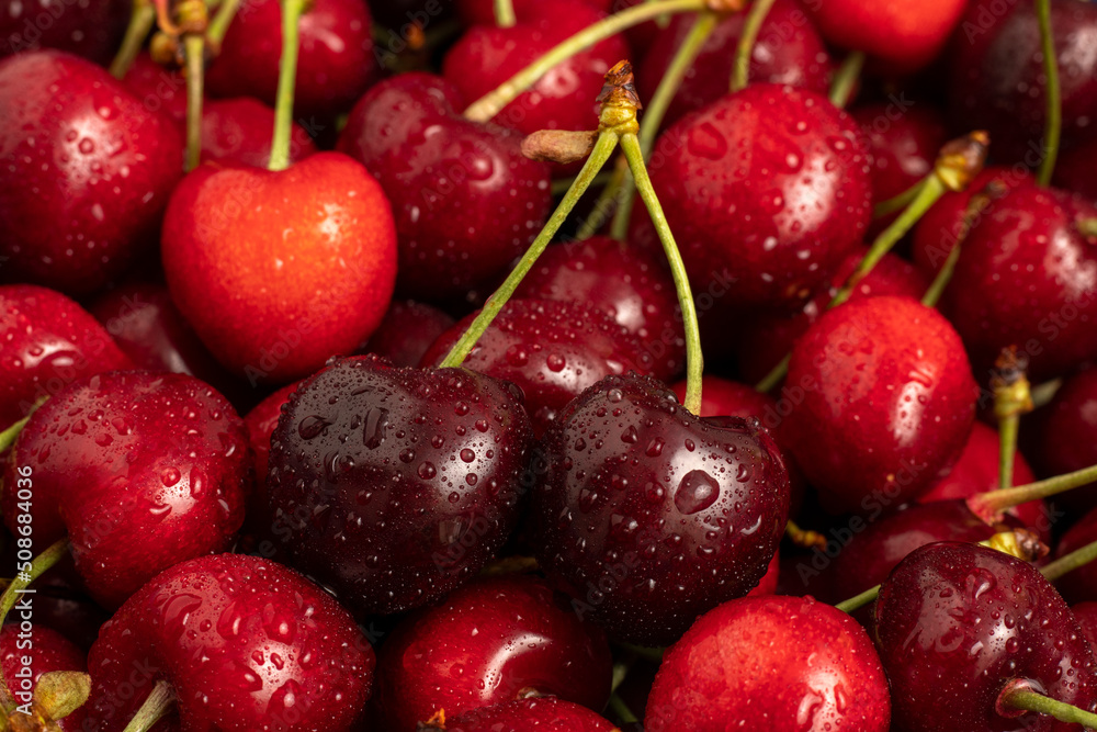 Sweet red cherries with dew close up. Sweet red cherries with dew close up.