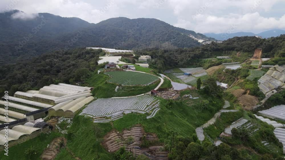 General Landscape View of the Brinchang District Within the Cameron Highlands Area of Malaysia