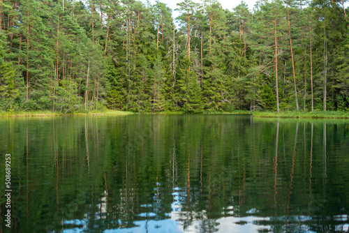 Fototapeta Naklejka Na Ścianę i Meble -  Summer landscape with a small lake in the forest.