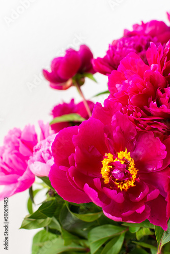 Peonies close up  part of a home interior  house decoration with flowers  cozy summer background