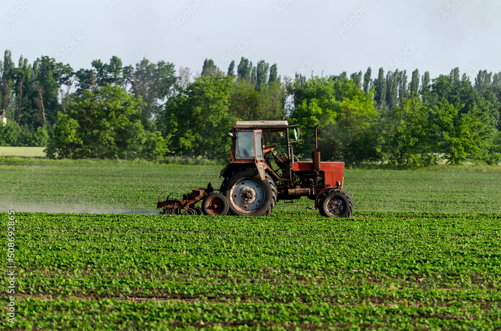 Tractor, processing a field of soybeans in a farmer's field. Agricultural activity. A series of pictures. Tractor, processing a field of soybeans in a farmer's field. Agricultural activity. A series of pictures.