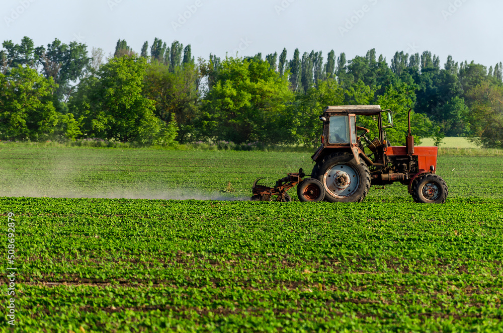 Obraz premium Tractor, processing a field of soybeans in a farmer's field. Agricultural activity. A series of pictures.