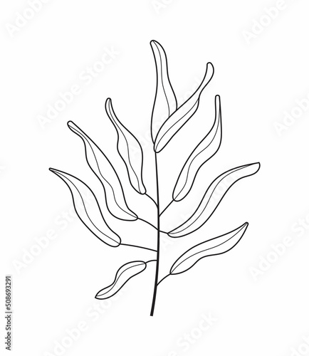 Botanical wall art abstract vectors. Boho branch vector in line art style. Ethnic tribal cactus in hand drawn style