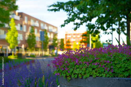 Urban greening with colorful plants and flowers. Small green oases at Europapark station in Groningen for climate adaptation. photo