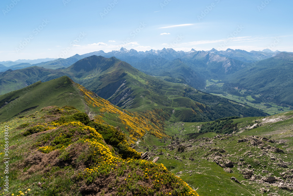 Naklejka premium Belagua Valley. Navarrese Pyrenees. Lakora 