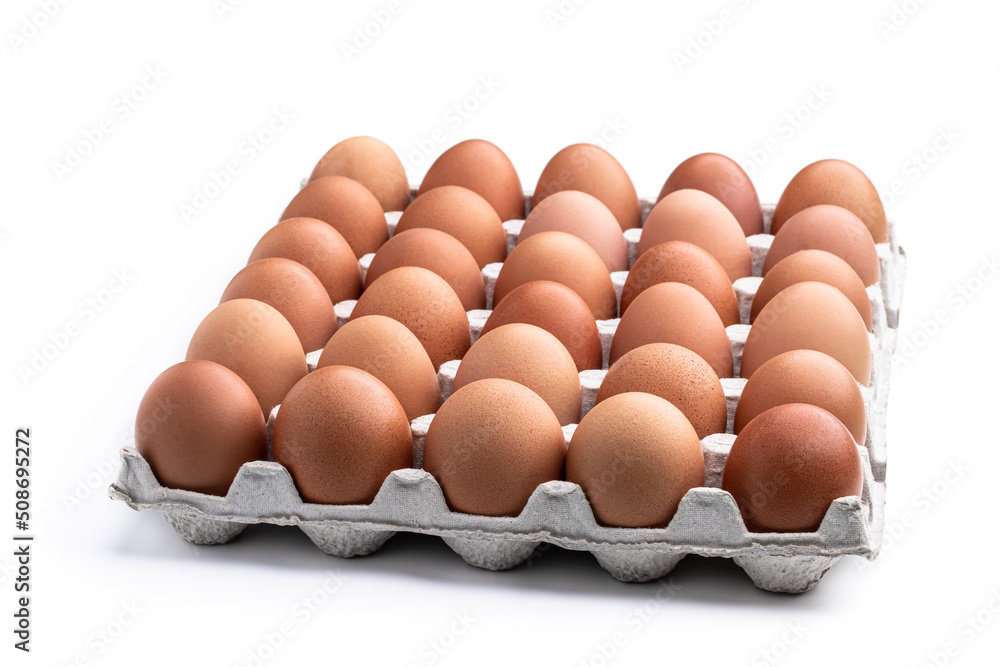 Brown eggs in cardboard tray isolated on white Brown eggs in cardboard tray isolated on white