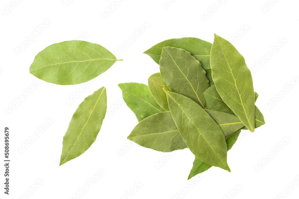 Dry bay leaves isolated on white background. Fragrant seasoning for cooking.