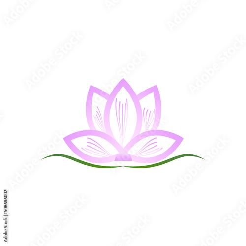 lotus isolated on white beautiful flower logo illustration 