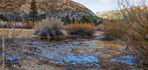 Silver lake landscape in Sierra Nevada mountains , Trees and bushes by the lake shore. photo