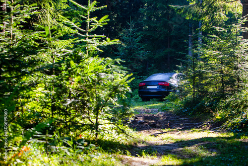 car parked at the forest