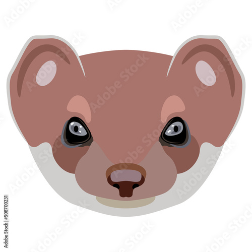 Face of a stoat or short tailed weasel. Eurasian ermine. (Mustela erminea). Animal mask. Cartoon style.