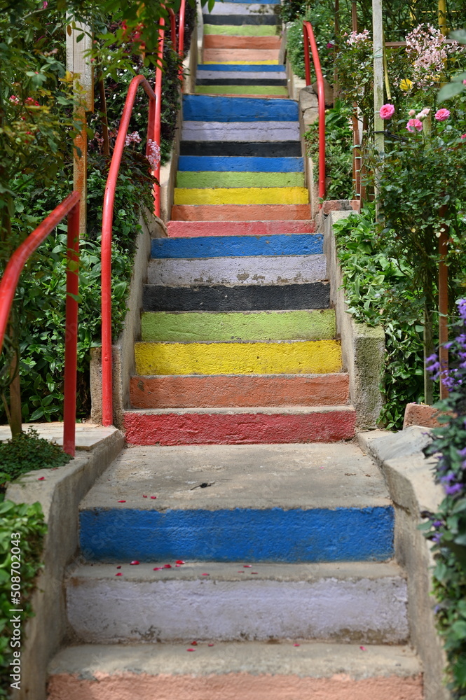 The Beautiful Flowers and Grass Beds of Cameron Highlands Malaysia