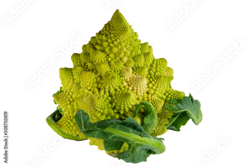 Romanesco cauliflower is a fresh chartreuse vegetable with clusters of yellow green segments. This shows a ripe ready-to-eat ready-to-cook food isolated.