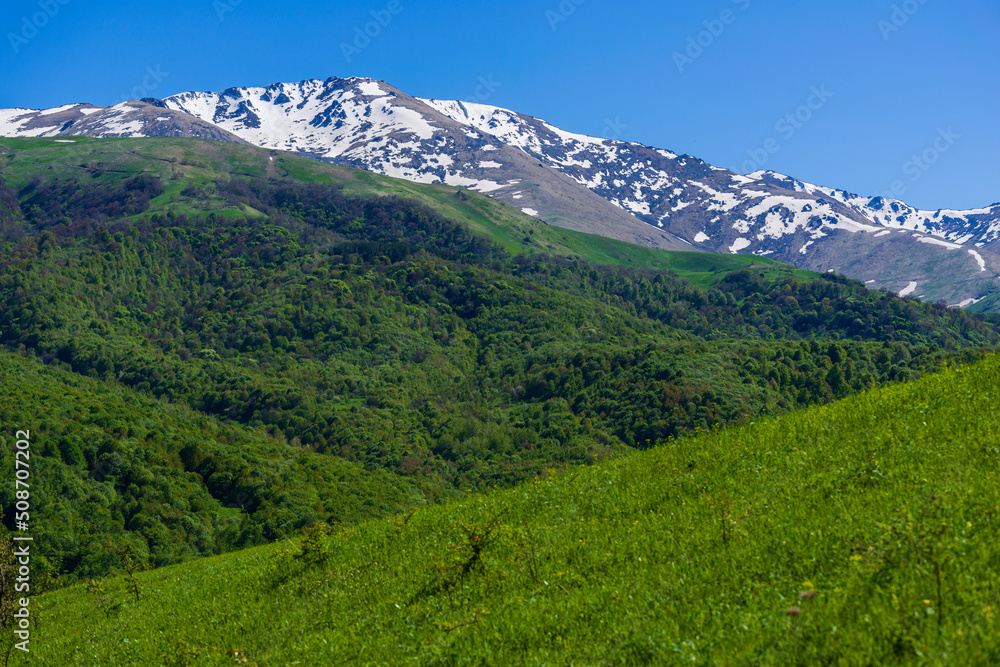 Mountain landscape with alpine forest, Armenia