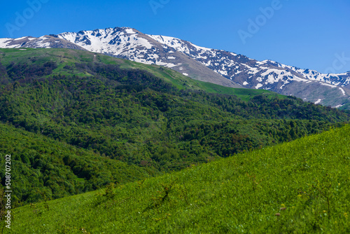 Mountain landscape with alpine forest, Armenia