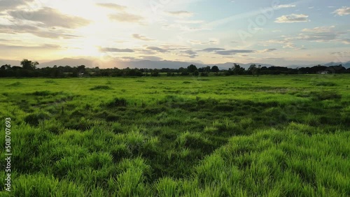 Aerial view of green meadow landscape