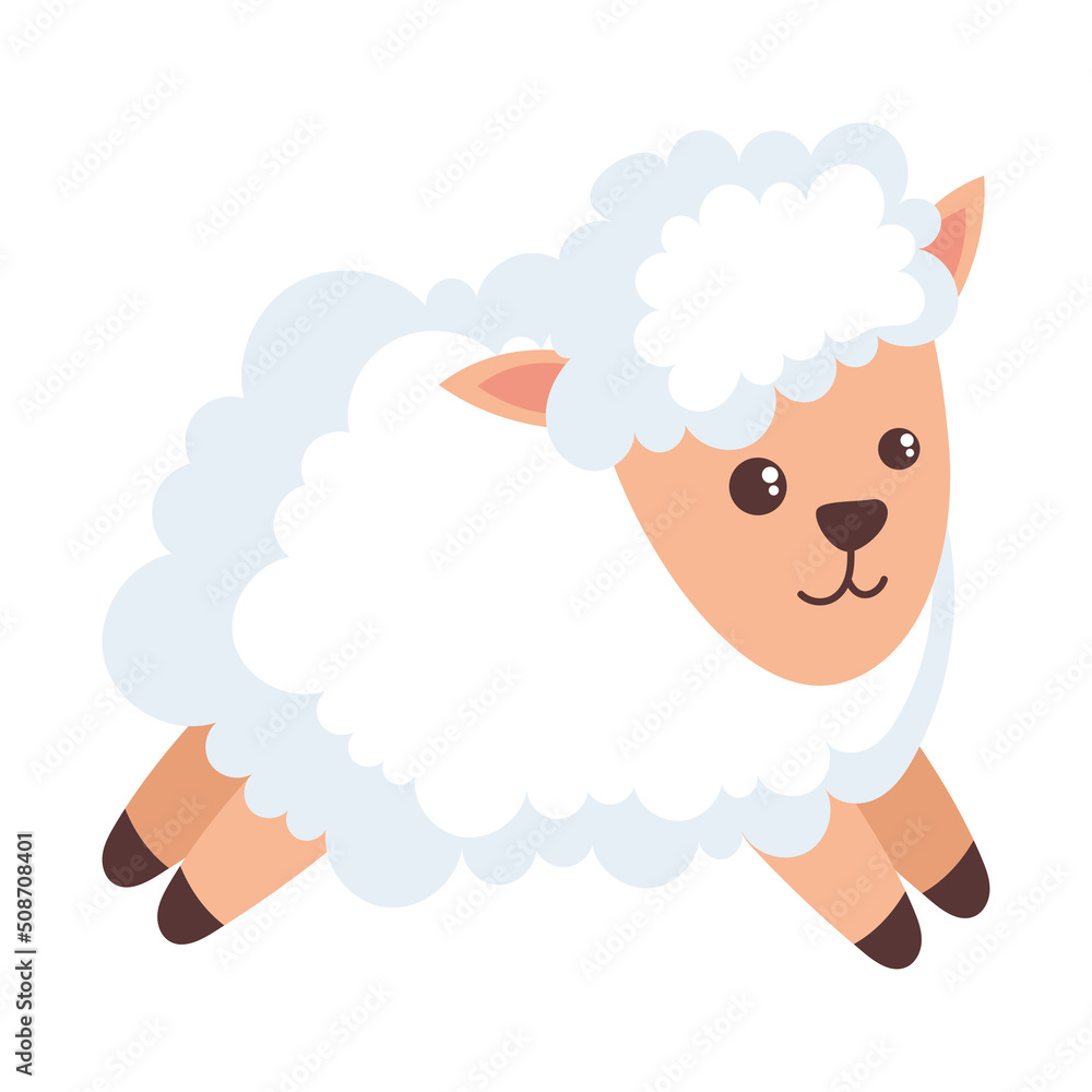 little sheep baby little sheep baby
