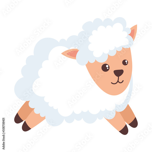little sheep baby