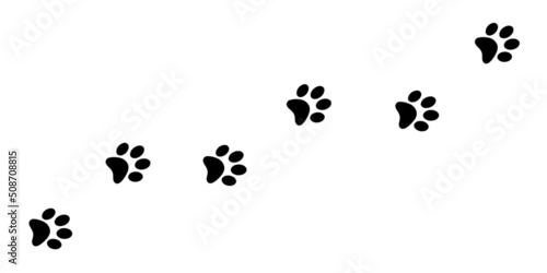 Dog or cat paw on white background