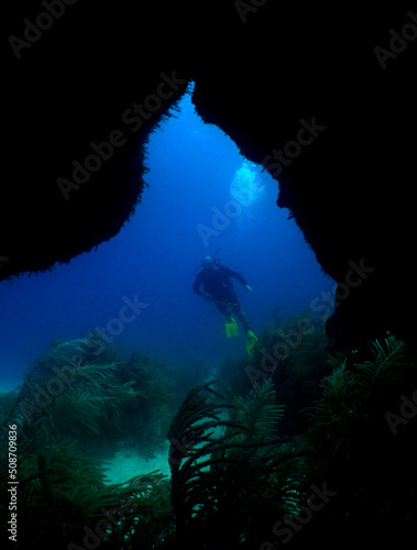 scuba diver , coral reef , caribbean sea , Venezuela © gustavo