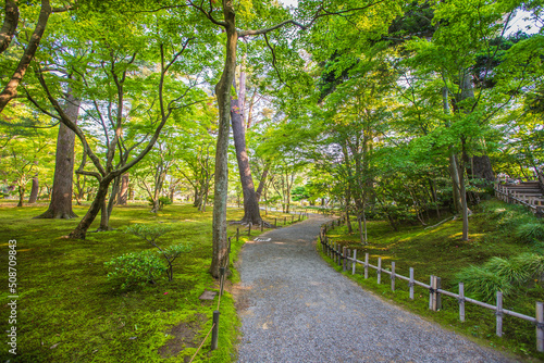 石川県金沢市 新緑の兼六園