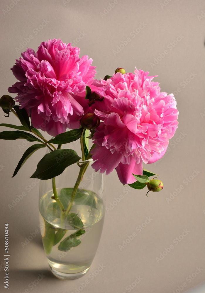 pink peony beautiful summer bouquet pink peony beautiful summer bouquet