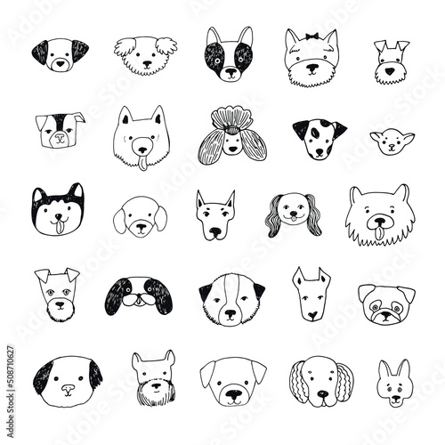 Dog faces vector illustrations set