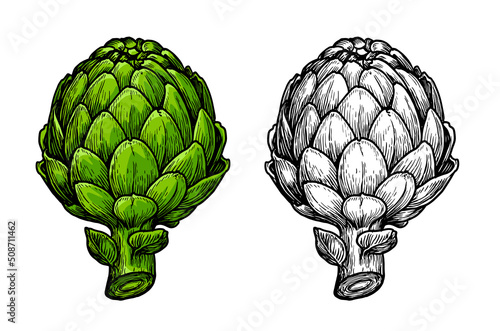 Hand drawn Artichoke sketch. Vegetarian food, vegetable vector illustration isolated