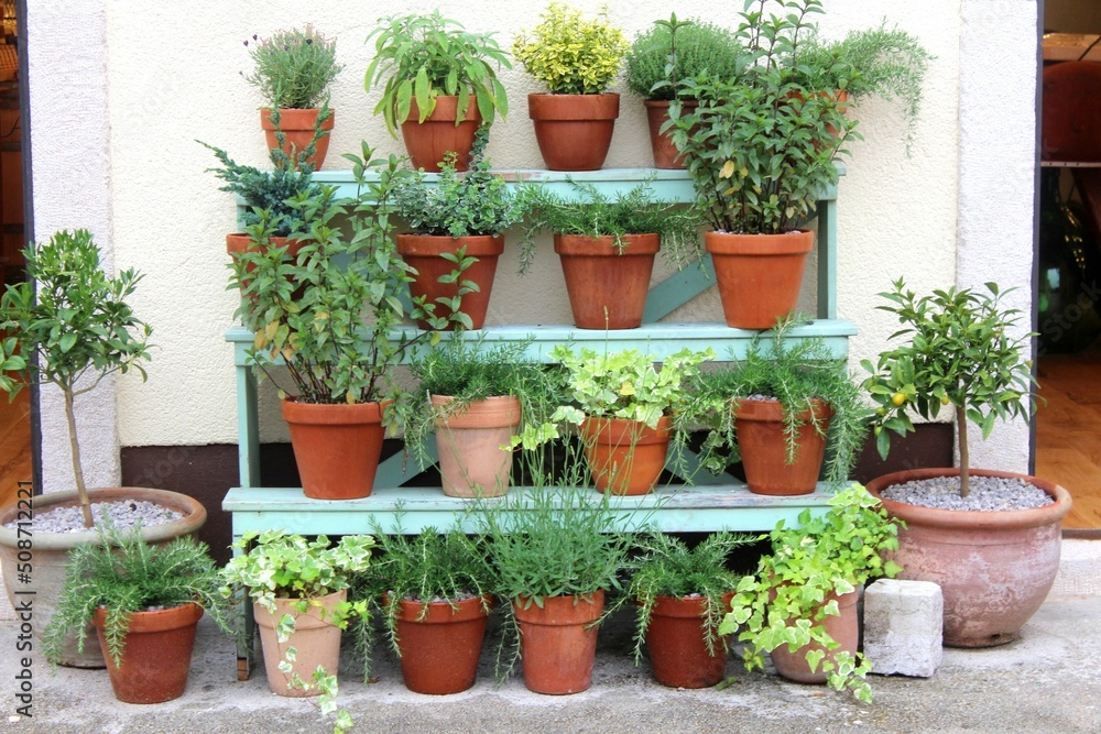 Foto de Türkisene Blumentreppe aus Holz mit vielen Kräutern und anderen