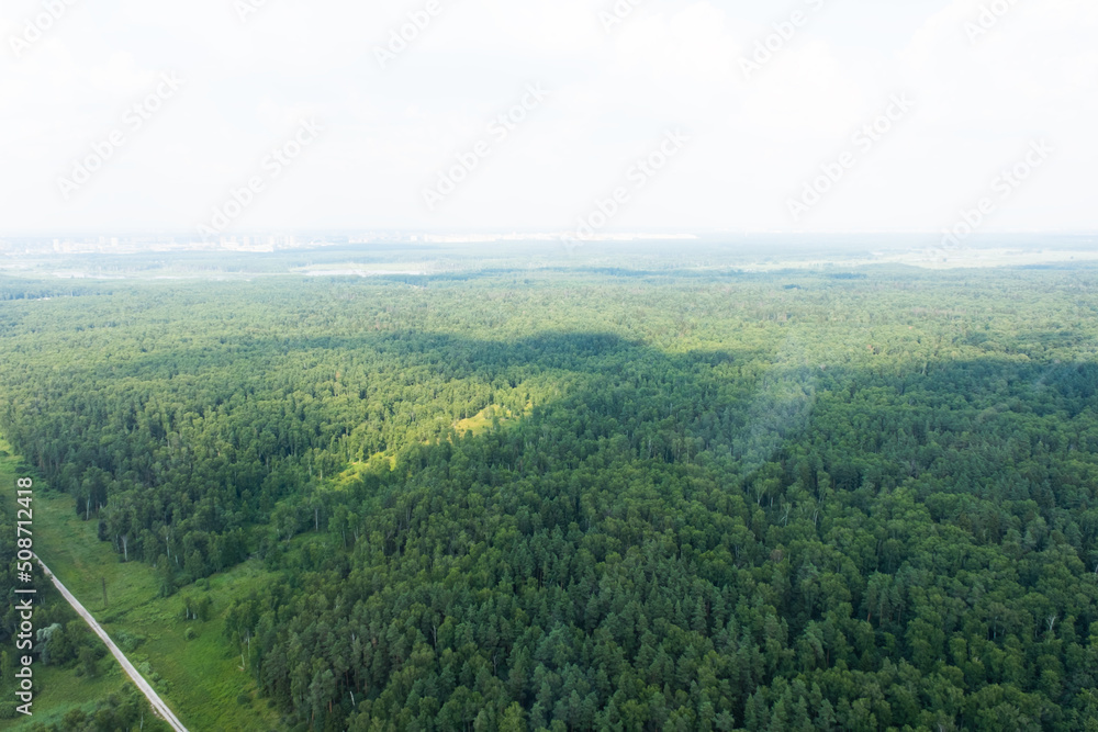 View of the forest from above. Forest in Moscow region, Russia. Green array.